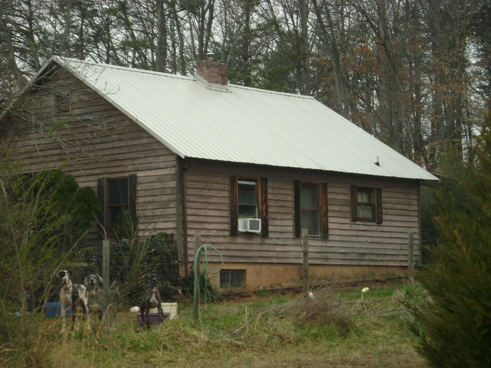 White metal roof on an old wood sided farmhouse, from a Asphalt Shingle Roof Repair job in Ripley